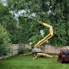 Best Grass Overseeding  in Flushing, MI